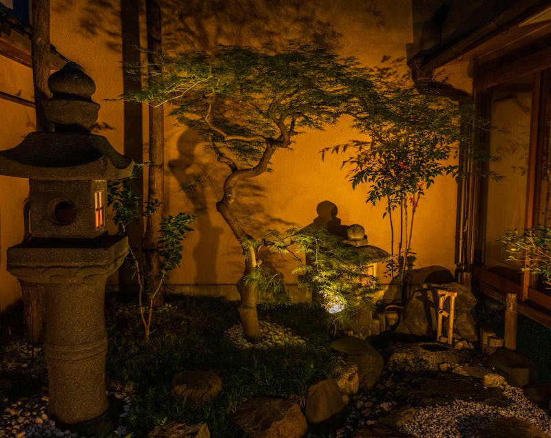 small landscaping with lighting