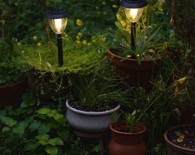 solar garden lights