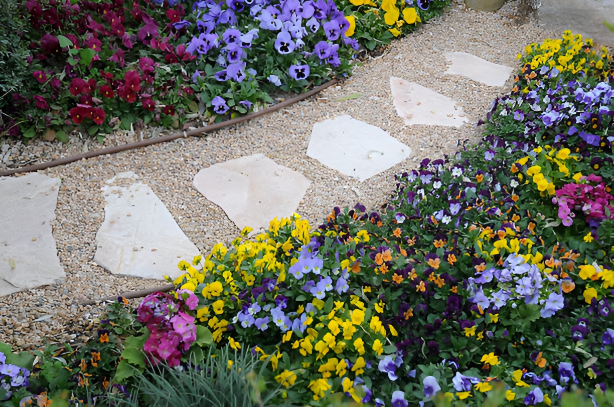 colorful flowers edging a walkway